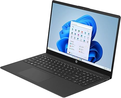 HP 15.6" Intel N200 Laptop (15-fd0079wm)